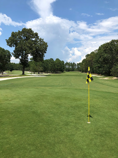 West Columbia SC Amazing Golf Course