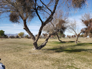 Mohave Valley, AZ – Amazing Golf Course